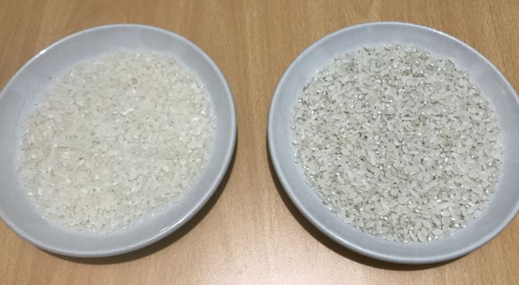 암까지 유발? 쌀 곰팡이 예방 및 26년 장마철 진공 쌀통 쌀 보관 방법 2 쌀곰팡이