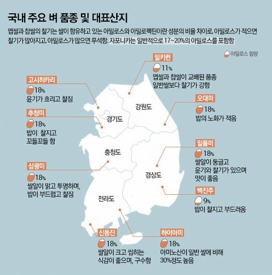 쌀품종